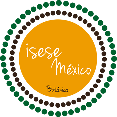 isesemexico_400